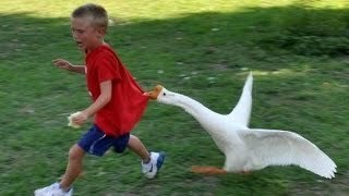 Imágenes que te harán reir Incontrolablemente