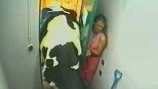 Asustada por una vaca