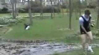 Idiotas en acción