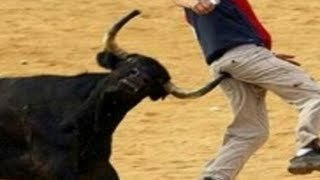 Divertida corrida de toros