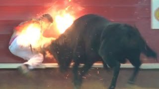 Encierro de toros - Hombres arriesgados