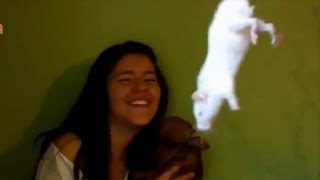 Susto por un ratón
