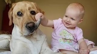 Bebés se ríen de los perros