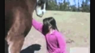 Golpes , Caidas, Accidentes, Curiosidades
