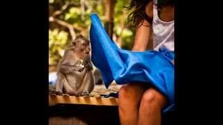 Fotos en el perfecto momento