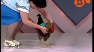 Gallo Michael jackson