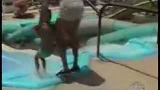 Caidas graciosas en toboganes