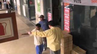 Serpientes - Broma