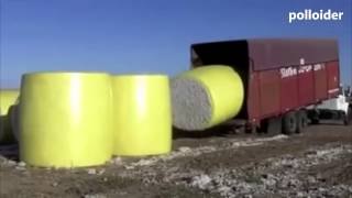 Cargar camión nivel jefe