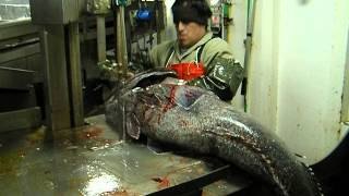 Espectacular corte de pescado