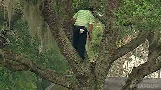 Golf - Golpe con una mano desde un arbol