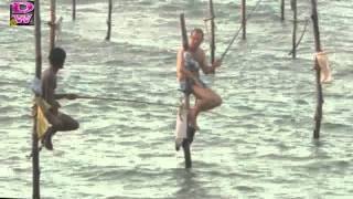 Técnica de pesca en palo