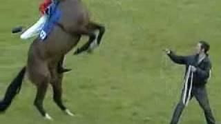 El salto mortal del caballo