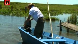 La pesca de Pirañas