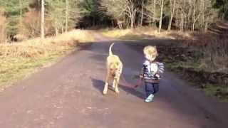 Bebé lleva a pasear a su perro
