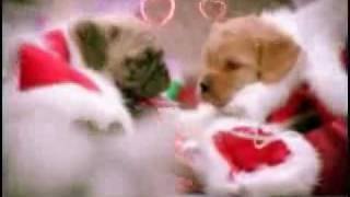 Perritos en navidad