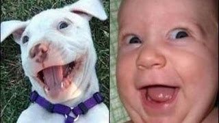 Perros que se parecen a sus dueños
