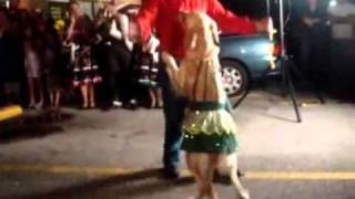 El perro que baila Merengue