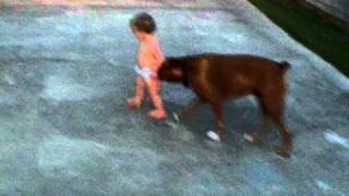 El bebé y su perro boxer