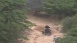 Motos 4 ruedas