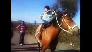 Tonto se cae del caballo