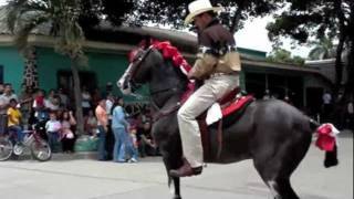 Caballo aplasta al jinete