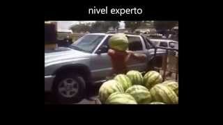 Experto descargando sandias