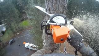 Tala de arbol - Técnica de linea rápida