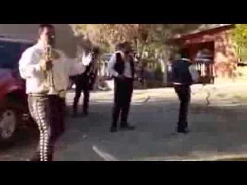 Bailando mariachi