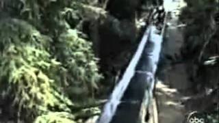 Bebés super divertidos