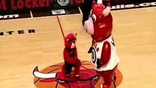 Peleas de mascotas