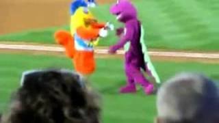 La mejor pelea de mascotas