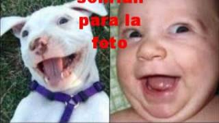 Fotos graciosas de animales