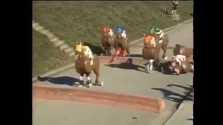 Carrera de caballos peculiar