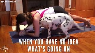 Perro hace yoga con su dueña