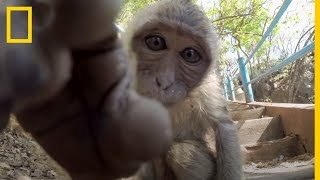 Selfies divertidos de animales