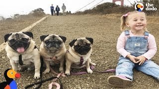Niños y perros creciendo juntos como mejores amigos