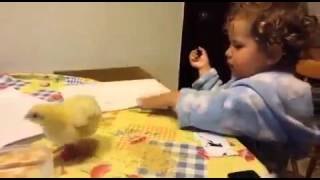 Niña regañando a su mascota