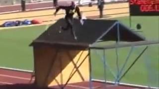 Olimpiadas de bomberos