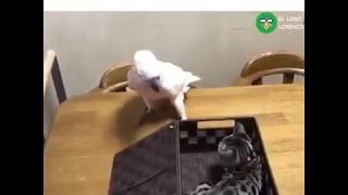 Cuando la persona es ingrata