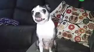 Cuando cantas en la ducha y se apaga la música