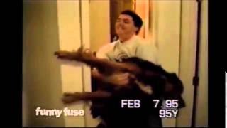 Perros a la hora del baño