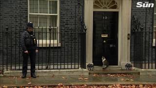 Momento divertido en Downing Street