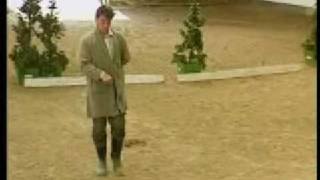 Jinetes sin caballos