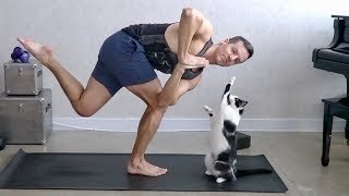 Gato interrumpiendo la clase de yoga