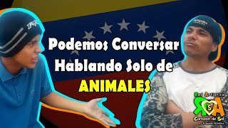 Conversación con nombres de animales