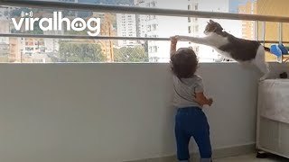 Gato salvavidas