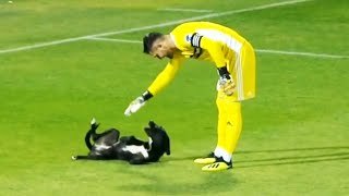 Momentos divertidos con animales en el fútbol