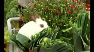 Just for Laughs Gags Parte 7