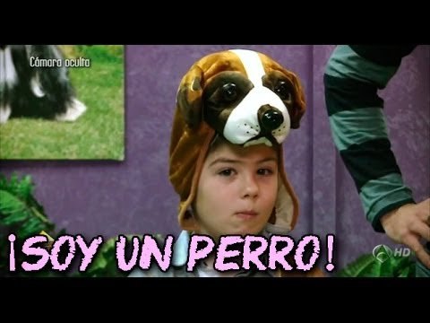 El Hormiguero: Concurso perruno
